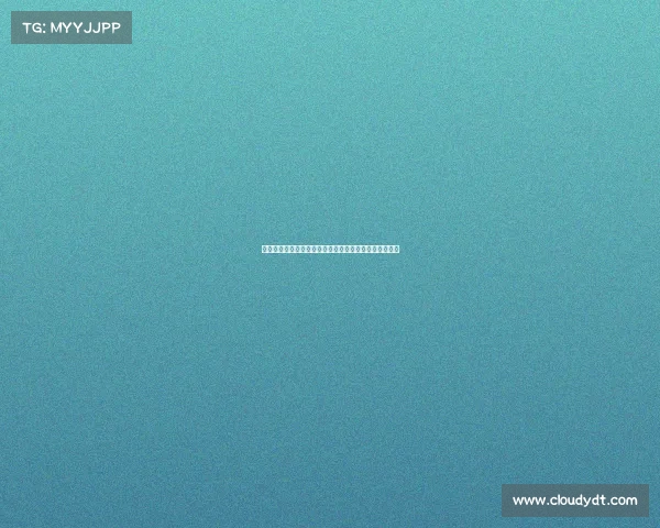 德甲球迷文化深度解析:激情氛围与独特传统的完美交融