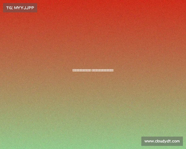 湖人以现有阵容启动训练营 重点评估文森特和克勒贝尔价值